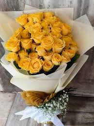 Yellow Rose